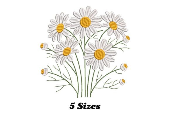 Charming Daisy Flowers: A Seasonal Review