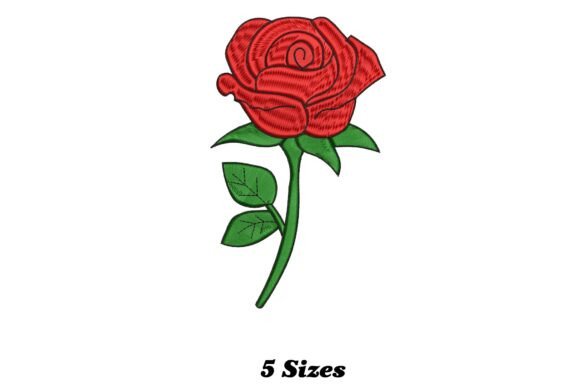 Radiant Rose: A Designer’s Review for Boutique Apparel