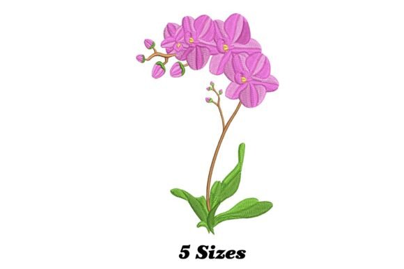 Reviewing Lovely Orchid Flower for Boutique Apparel